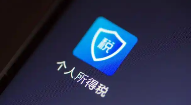 《个人所得税》申报记录查看教程分享