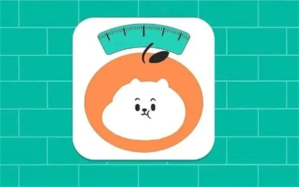 《饭橘》如何提交反馈意见
